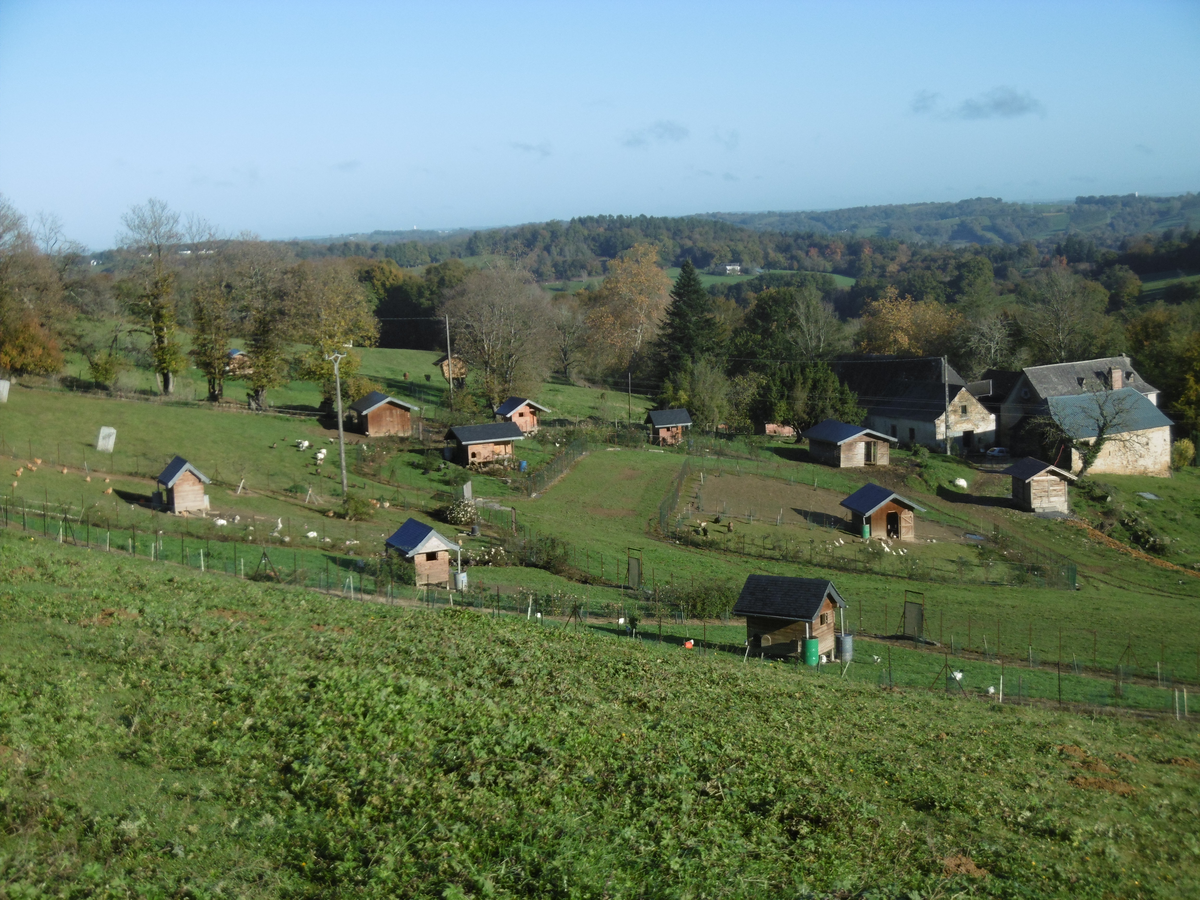 Vue de la ferme Des Plumes et des Pattes